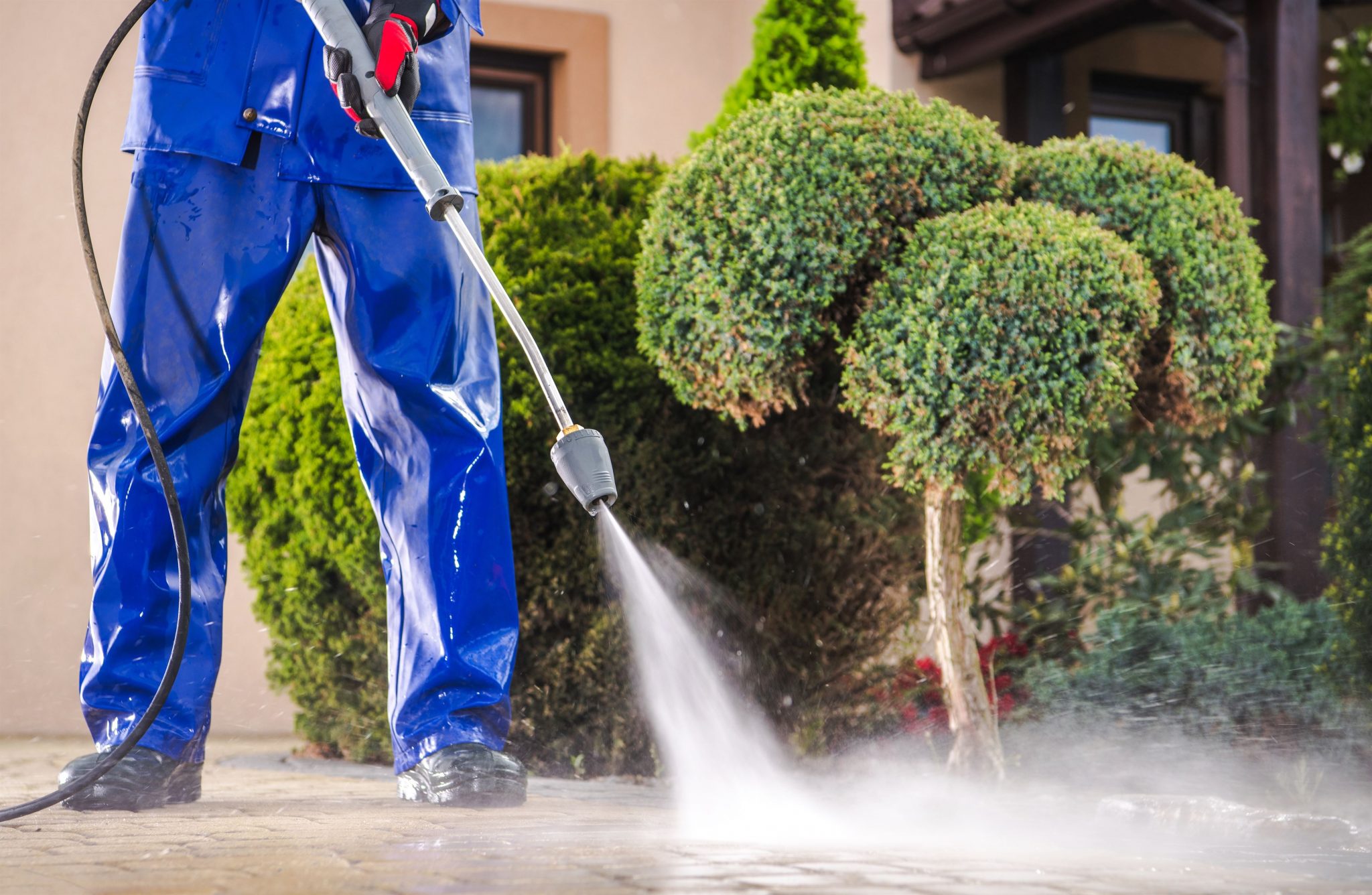 jet-washing-blossom-garden
