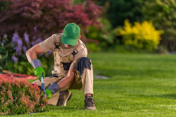 worker-trimming-bushes-in-residential-garden-J25MPER